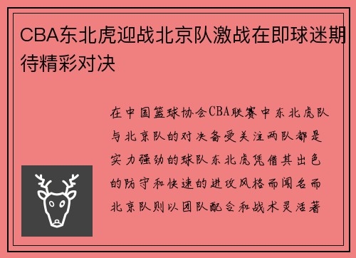 CBA东北虎迎战北京队激战在即球迷期待精彩对决